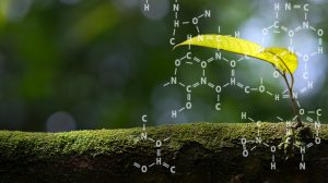 Chemical effects on plant growth and development
