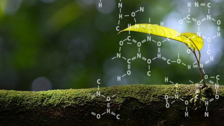 Chemical effects on plant growth and development