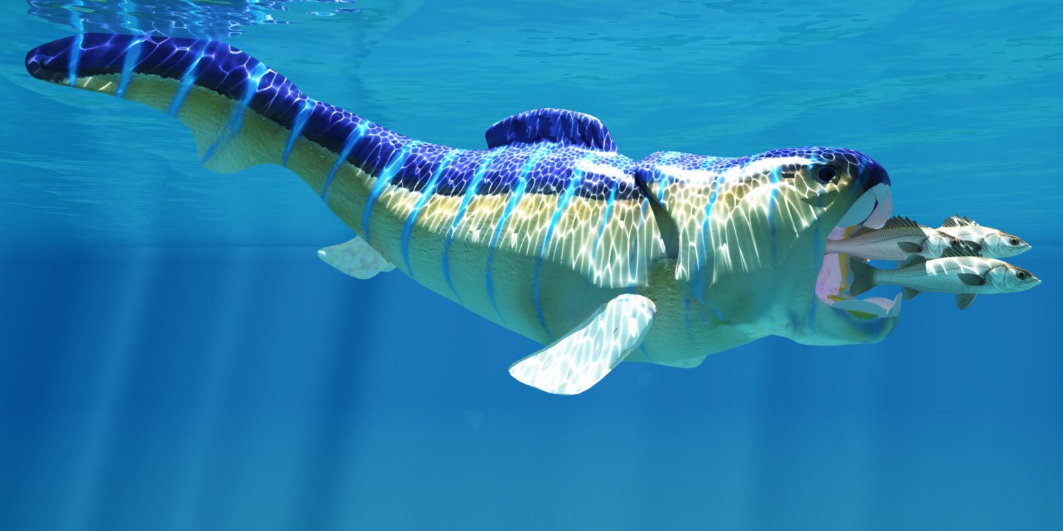 Pangenesis Definition and Examples Biology Online Dictionary