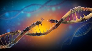 Genetic Mutations
