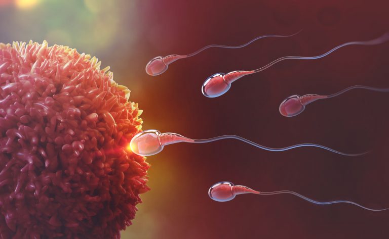 Schematic representation of a sperm cell fertilizing an ovum