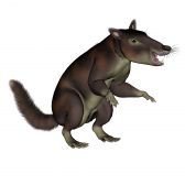 "Cronopio dentiacutus", a prehistoric mammal (an illustration)