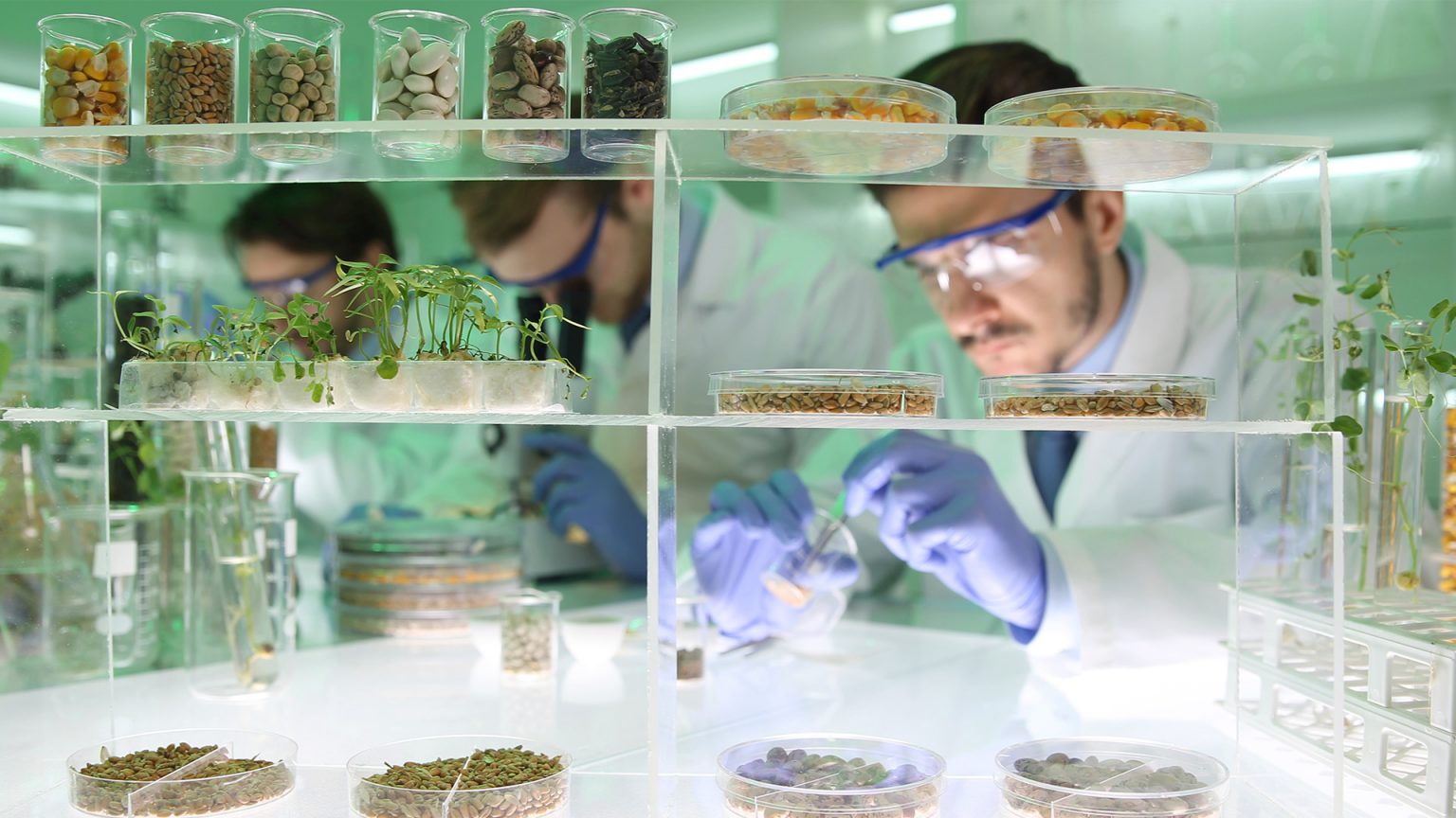 Regulation of Biological Systems Biology Online Tutorial