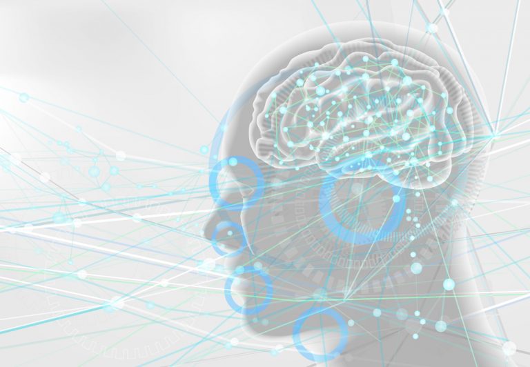 Sensory Systems Biology Online Tutorial