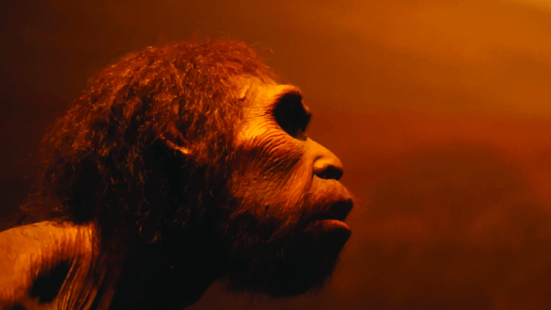 Early Hominids Species