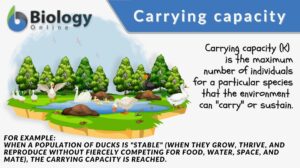 carrying capacity definition example