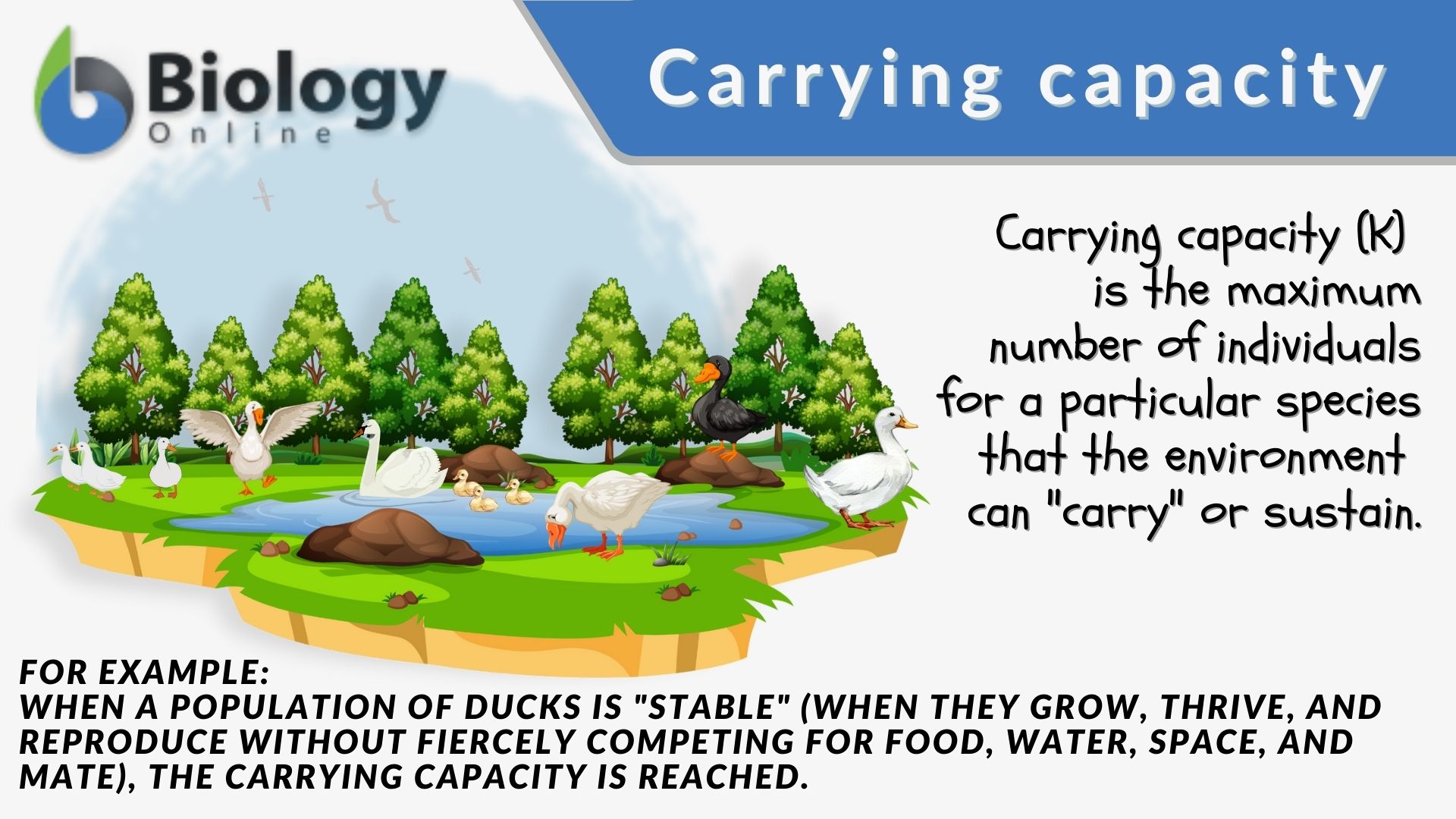 biological carrying capacity in tourism