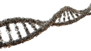 DNA - schematic