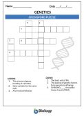 GENETICS - CROSSWORD PUZZLE