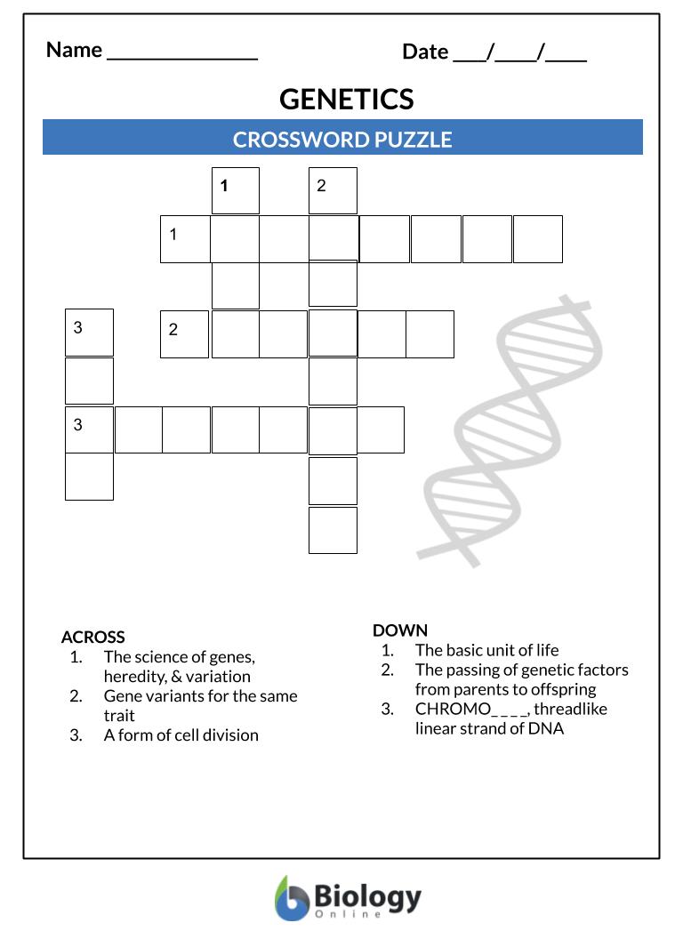 Genetics - Lesson Outline & Worksheets - Biology Online Tutorial With Genetics Worksheet Middle School