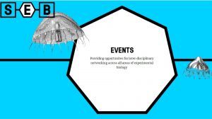 SEB Events