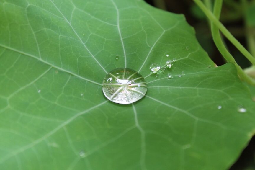 water drop and surface tension
