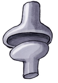 Condyloid joint