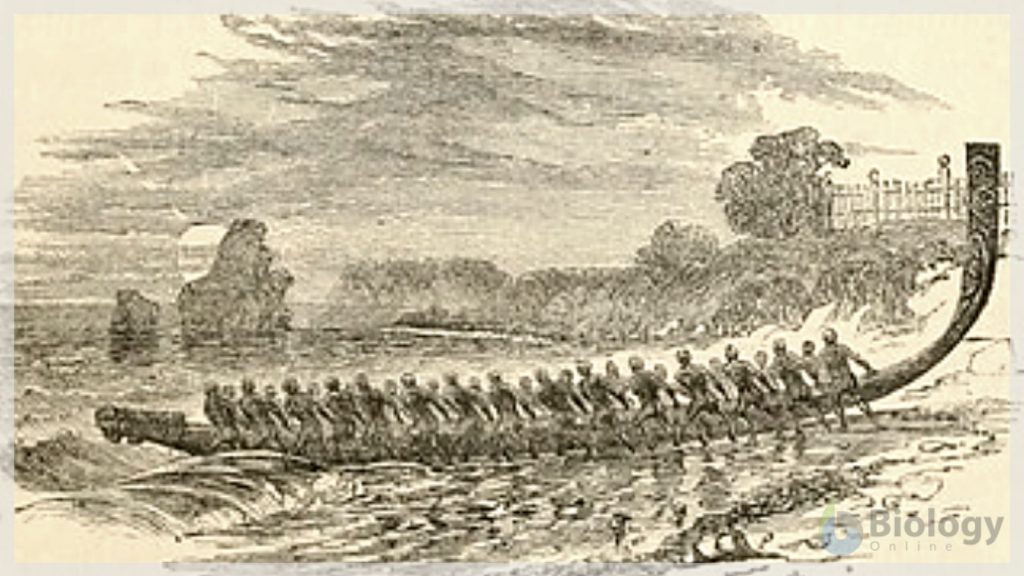 Early Polynesians