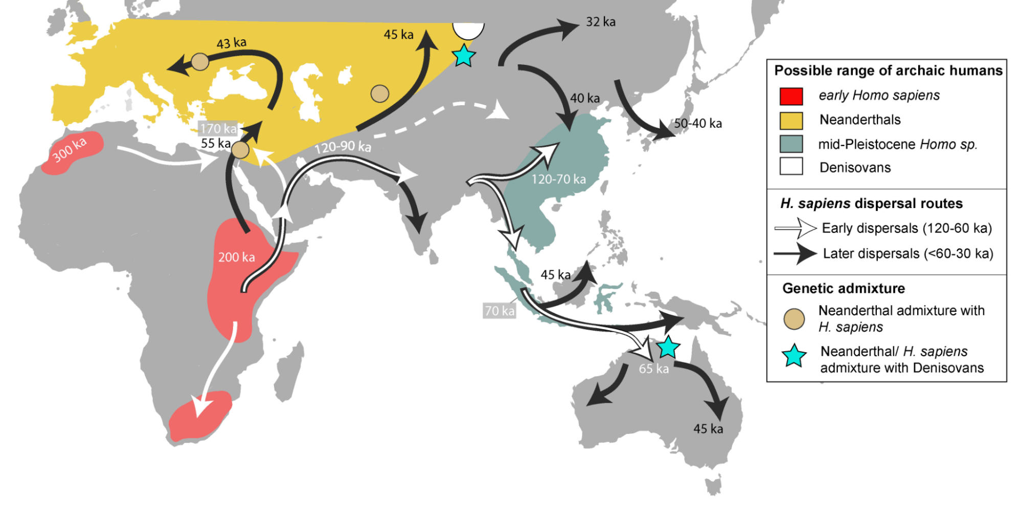 Расселение и миграция. Карта расселения homo sapiens. Расселение хомо сапиенс. Миграции хомо сапиенс сапиенс. Карта расселения хомо сапиенс сапиенс.