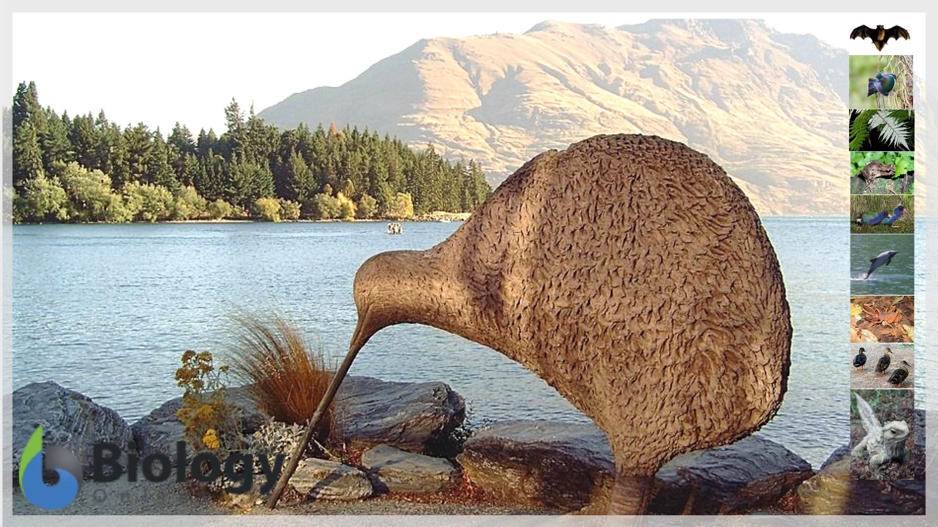 Ecology & Biodiversity: New Zealand Flora & Fauna - Biology Online Tutorial Ecology & Biodiversity: New Zealand Flora & Fauna - Biology Online Tutorial