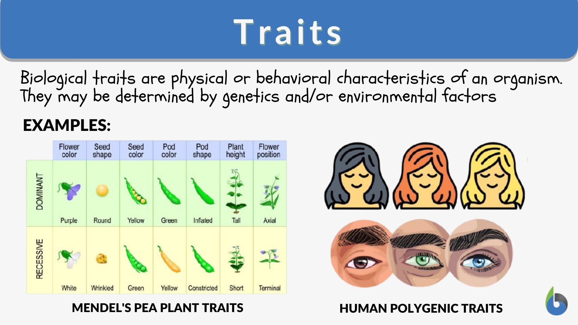 Characteristic Definition and Examples - Biology Online Dictionary