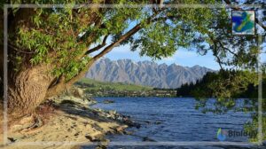 Lake Wakatipu, New Zealand