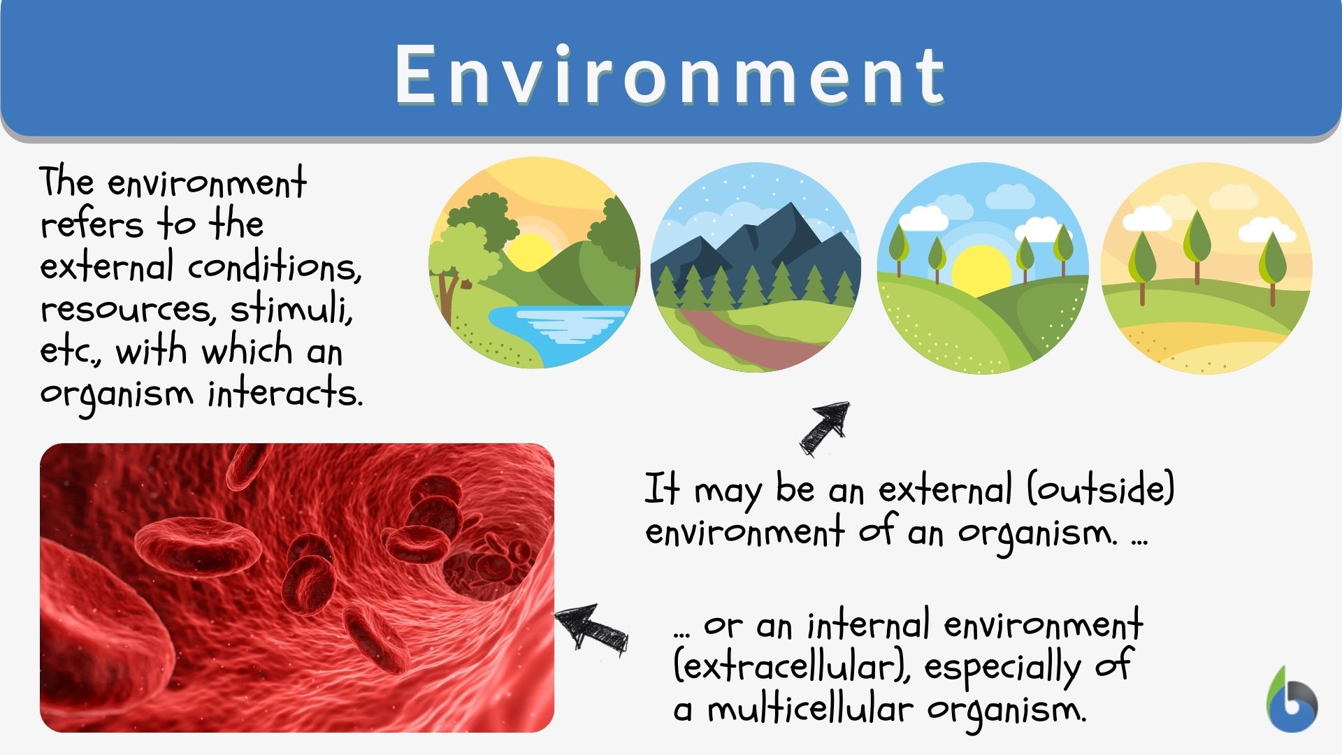 How many types of environment are there?