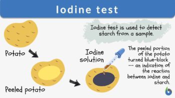 What color light does iodine absorb? + Example
