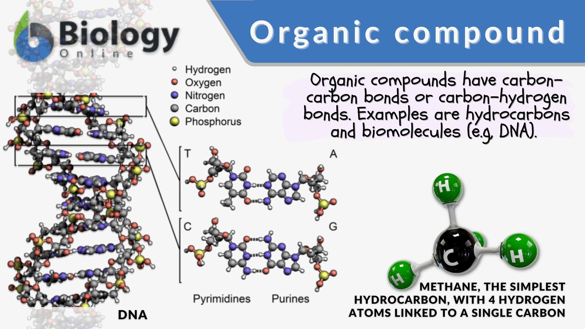 Organic compound - Definition and Examples - Biology Online Dictionary