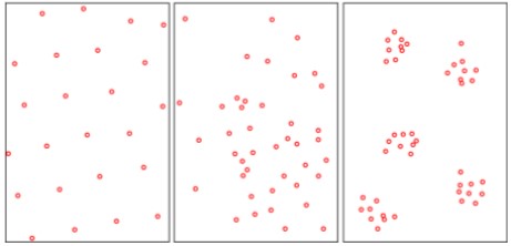 Population Distribution Patterns