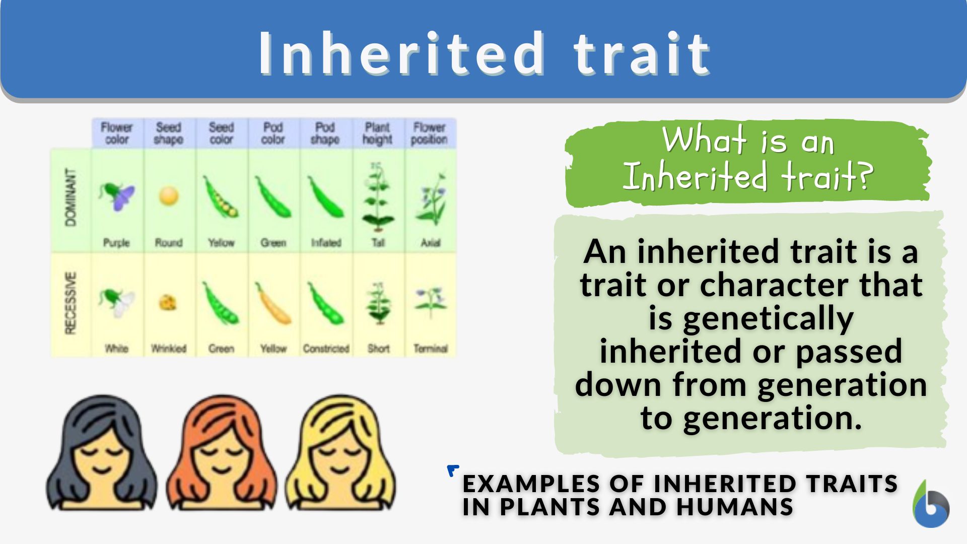 inherited character traits essay