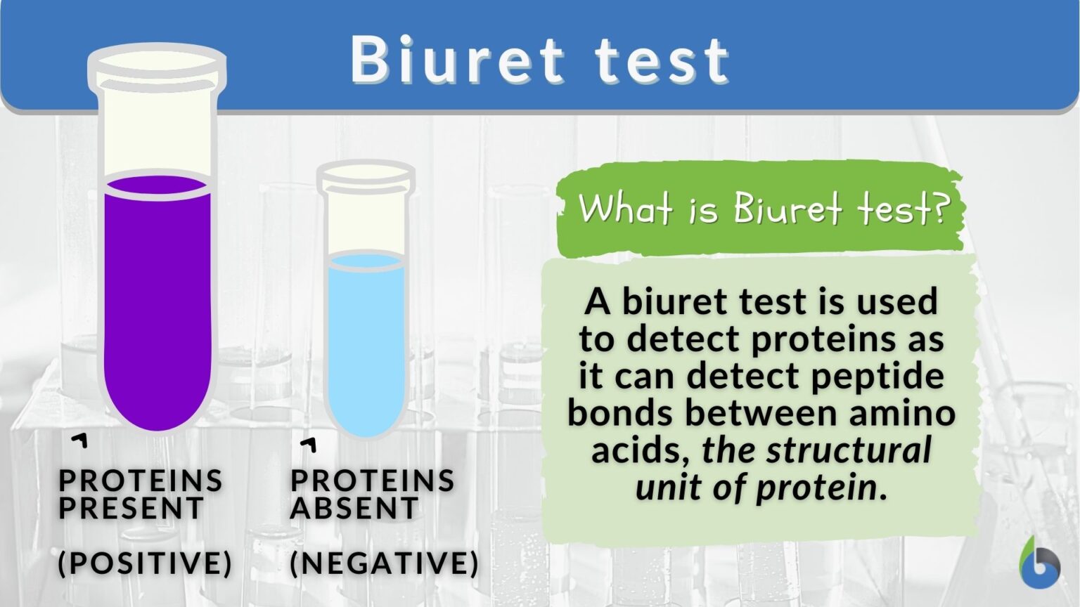 research paper on biuret test