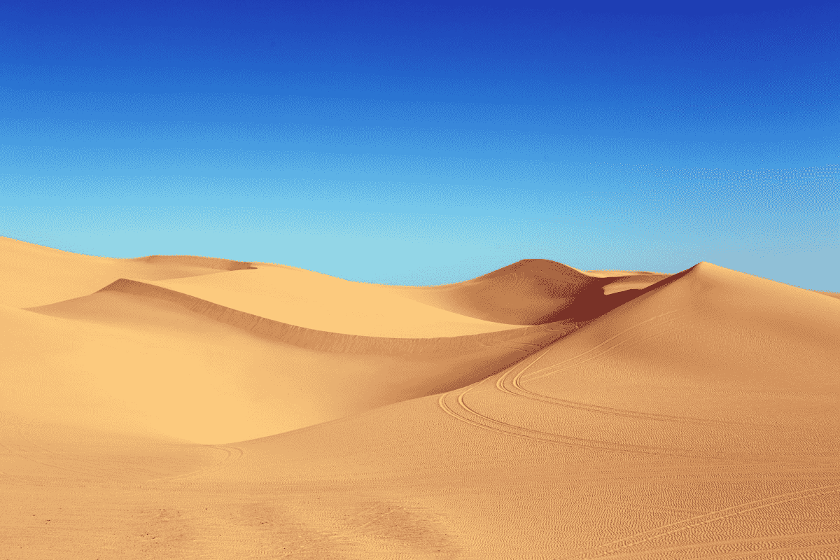 desert