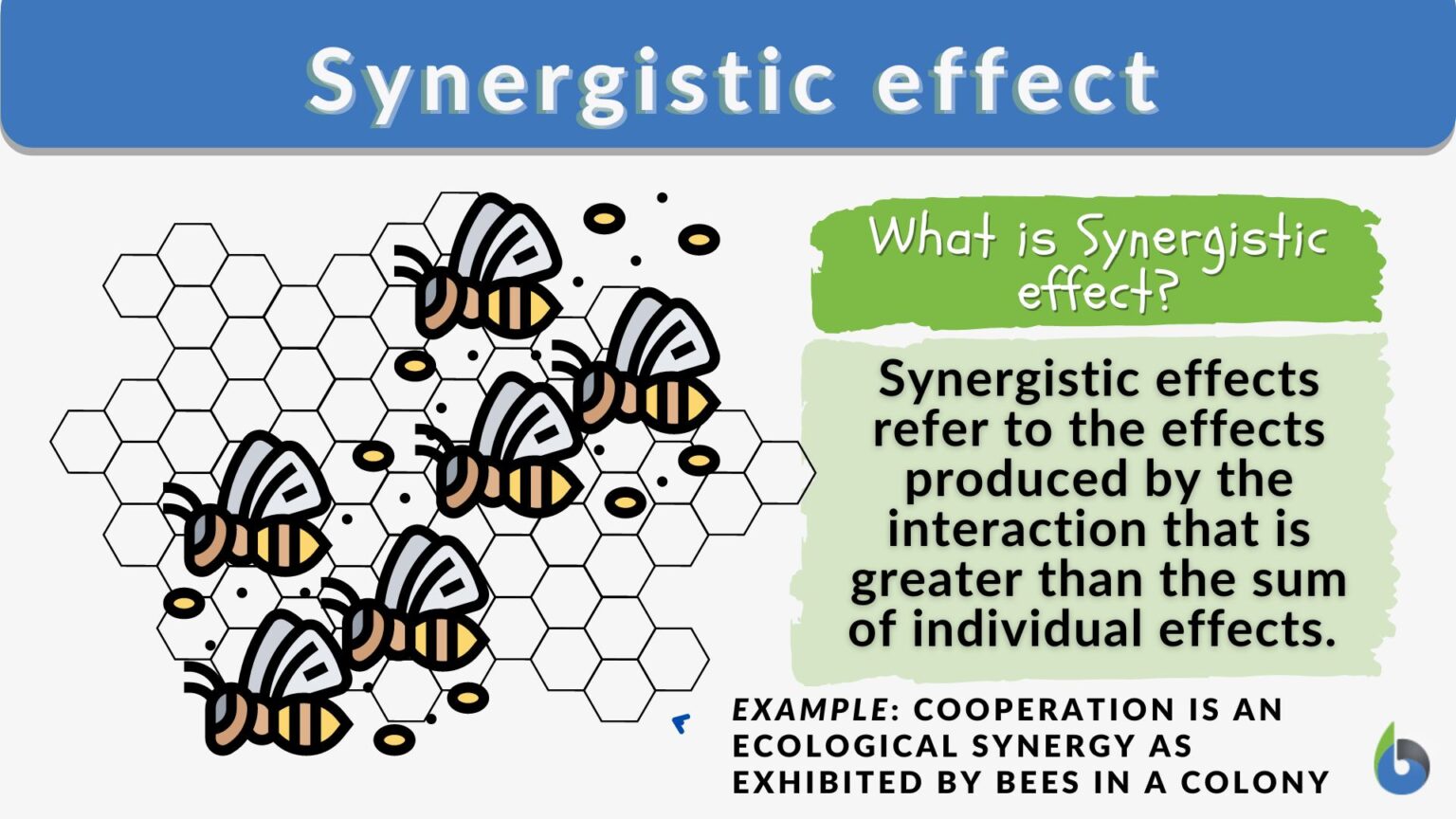Synergistic effect Definition and Examples Biology Online Dictionary