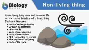 Nonliving thing definition and examples