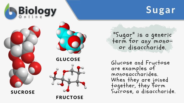 Sugar definition and examples