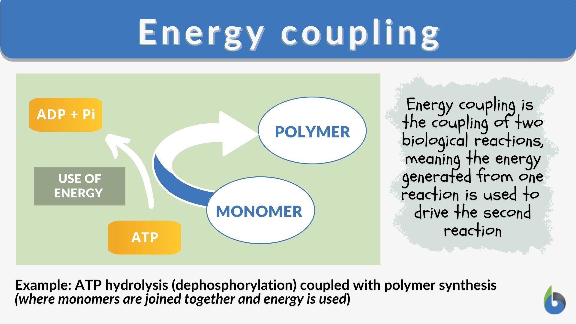 Energy coupling - Definition and Examples