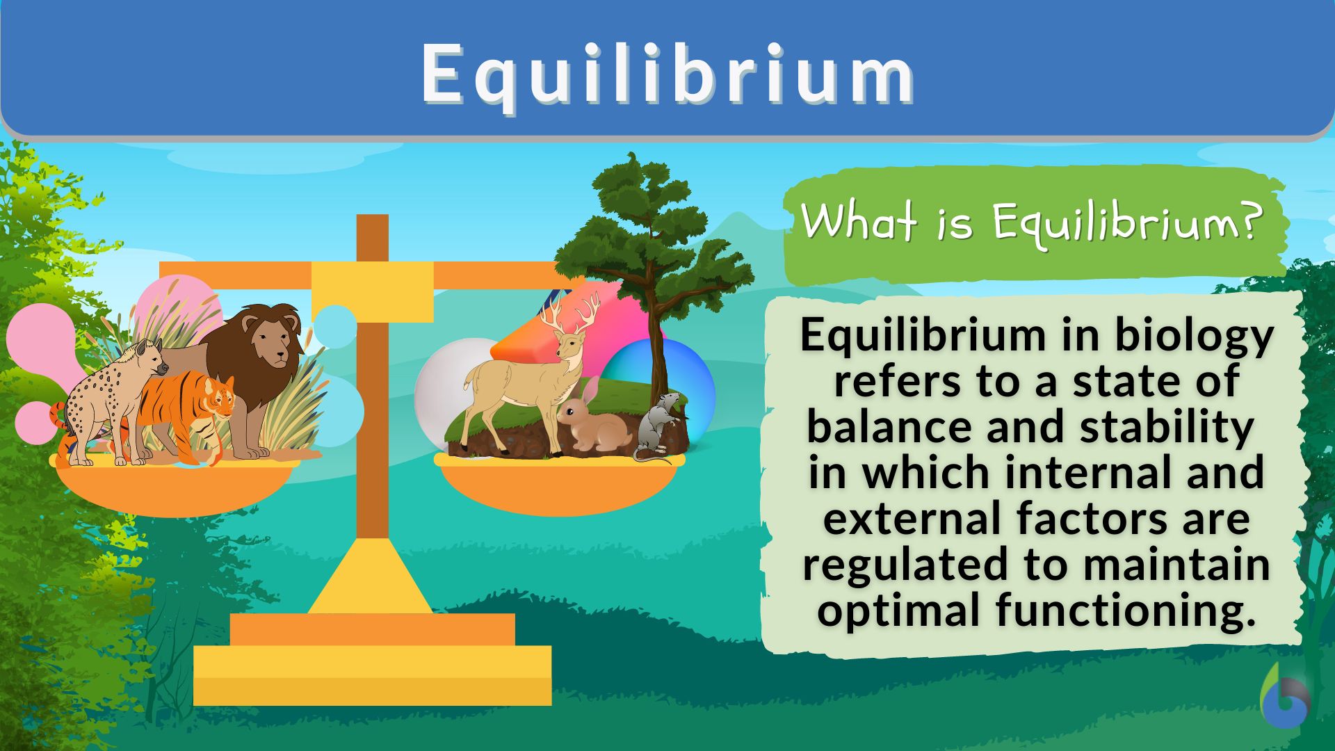 Equilibrium - Definition and Examples - Biology Online Dictionary