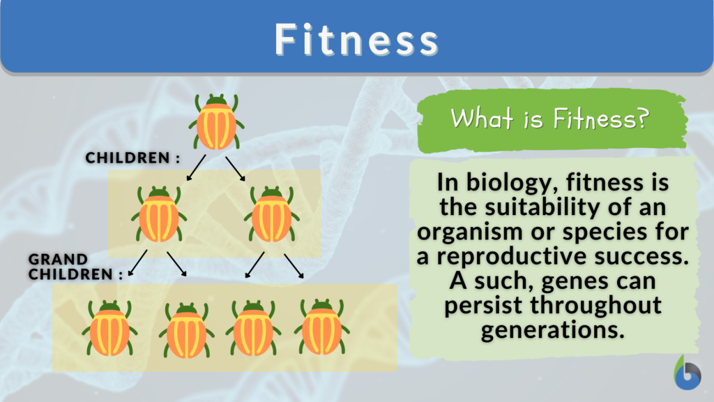Fitness Definition And Examples Biology Online Dictionary fitness-definition-and-examples-biology-online-dictionary