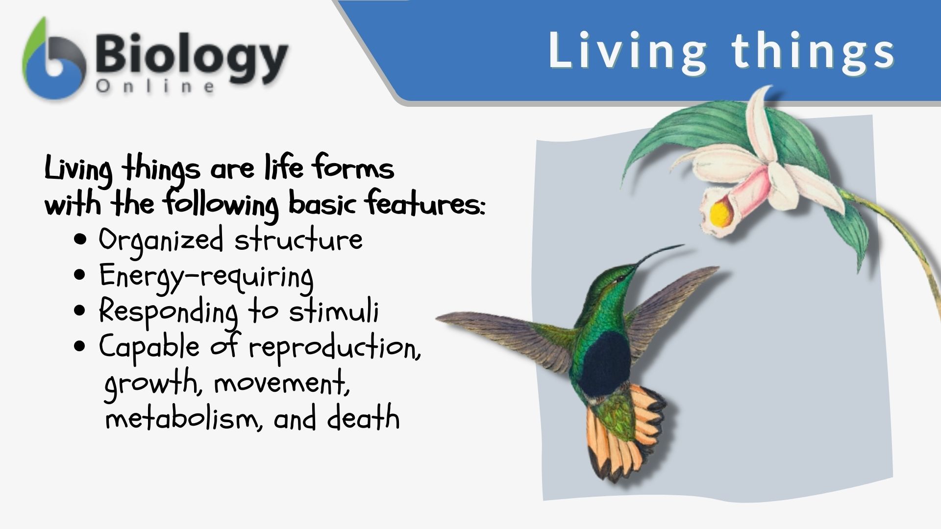 Living things - Definition and Examples - Biology Online Dictionary