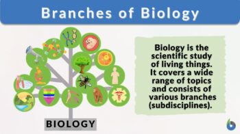 Branches of Biology examples