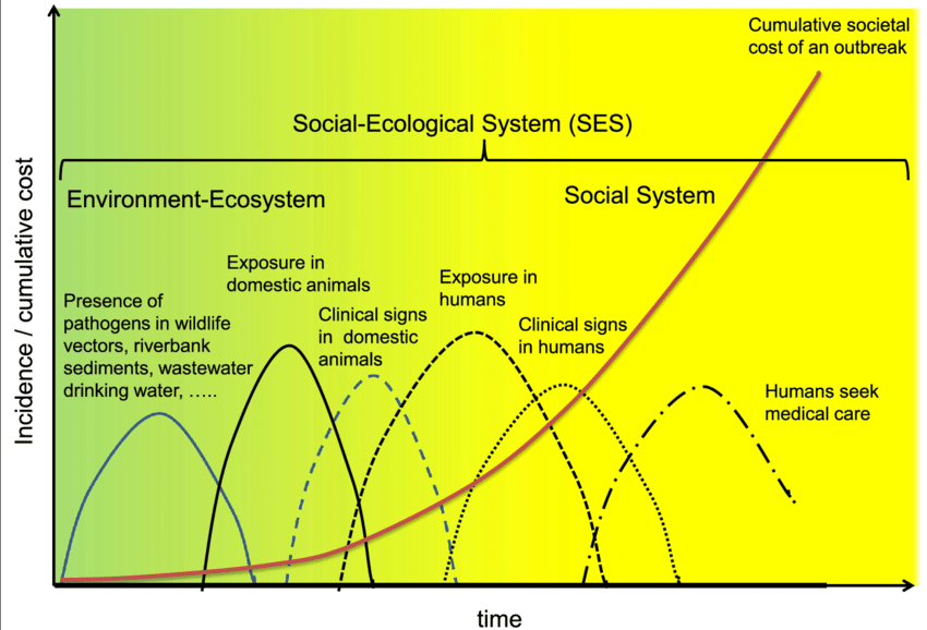 Episodic Time Frames of Pathogens