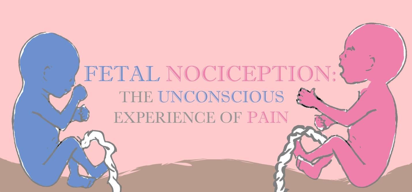 Fetal pain