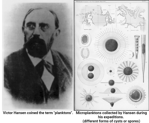 Victor Hansen