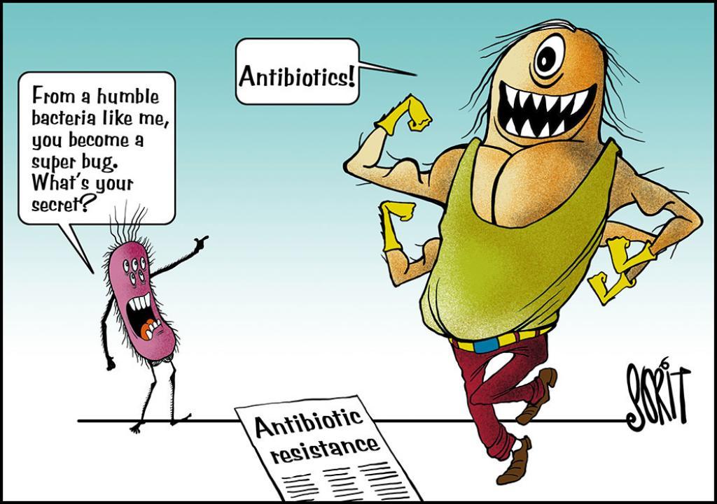 antibiotic resistance cartoon