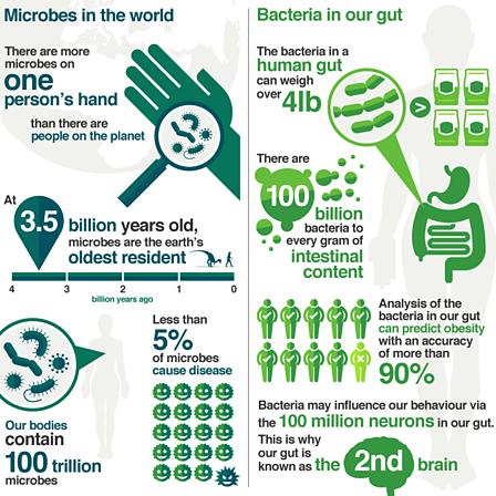 microbe in the world and gut bacteria statistics