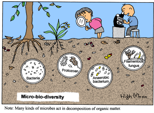 pathogens in soil