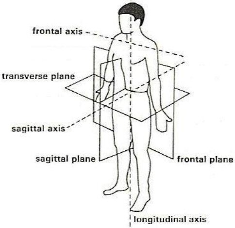 Different axes along which movement
