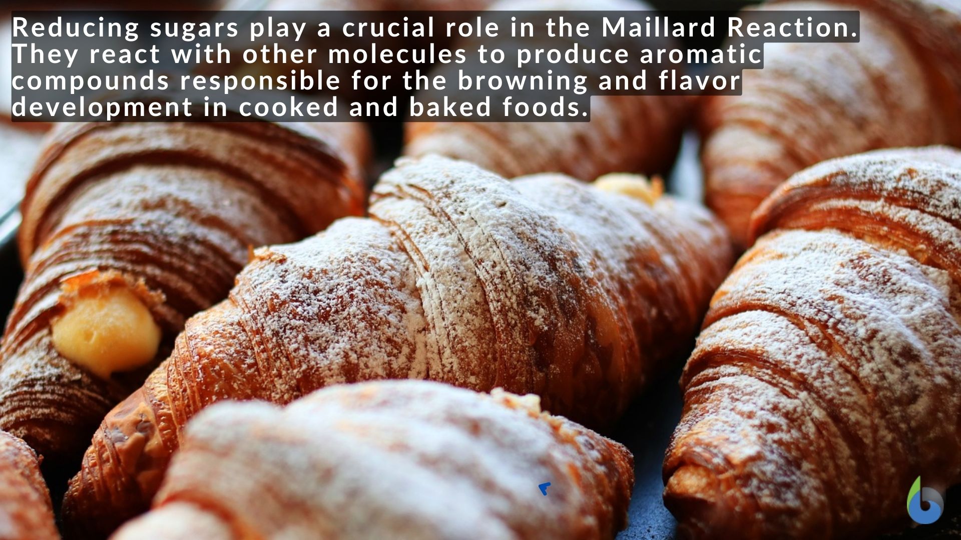 Reducing sugar and Maillard reaction