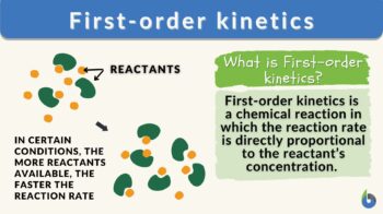First-order kinetics definition and examples