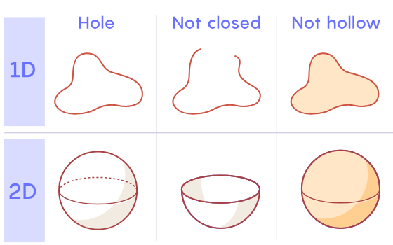 Homology Definition and Examples Biology Online Dictionary
