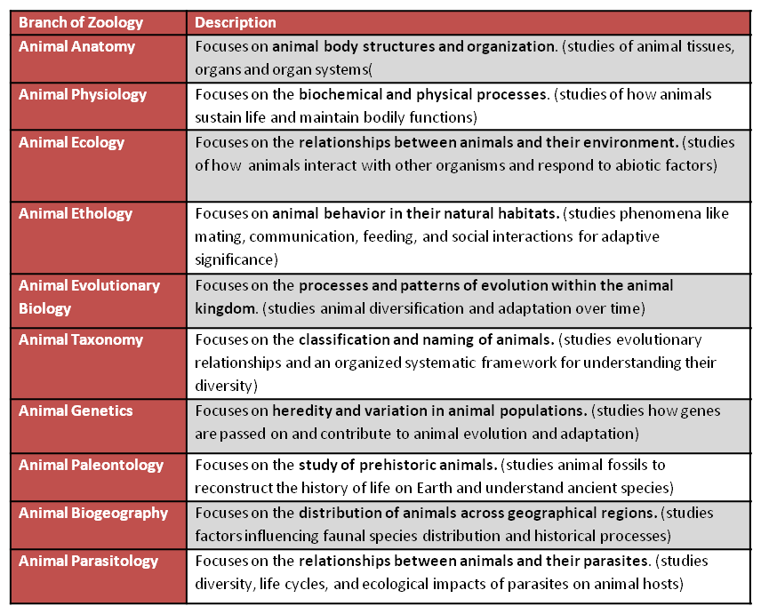 different branches of zoology