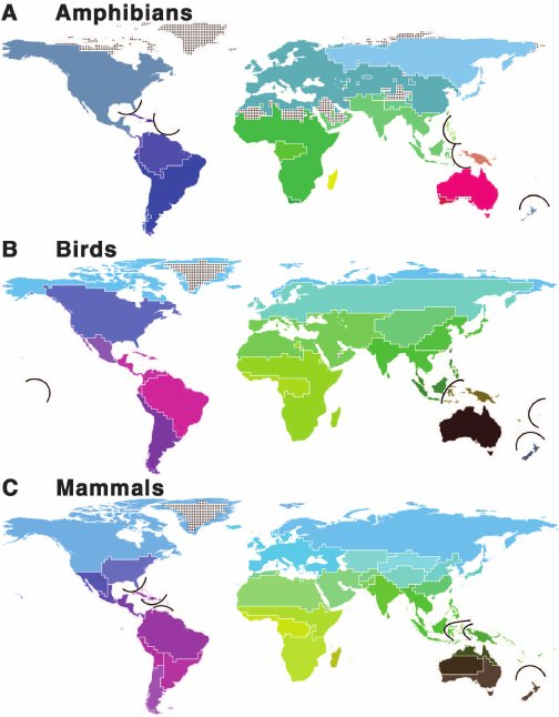 geographical distribution of animals in different terrestrial zoographic regions