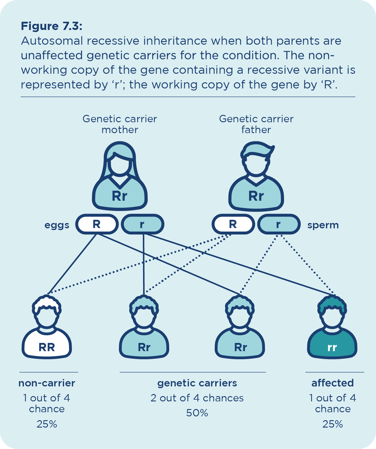 infographic autosomal recessive disorder